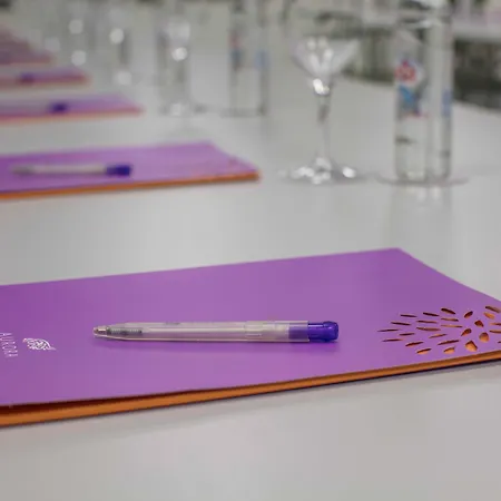 酒店 欧若拉酒店 4*