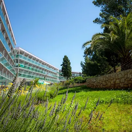 酒店 欧若拉酒店