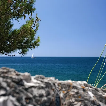 欧若拉酒店 酒店 4*