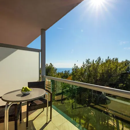 Hotel Aurora 4*